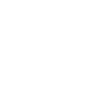 Connexion Sauvage