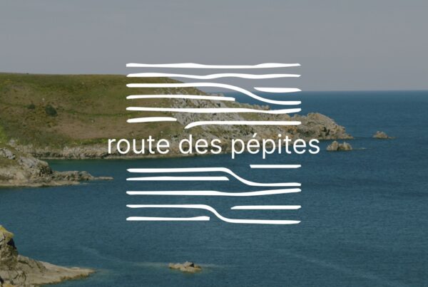 création de boutique en ligne route des pépites